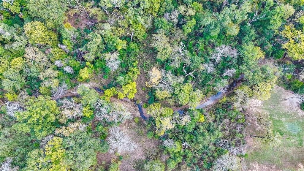 10.03 acres in Freestone County featured view