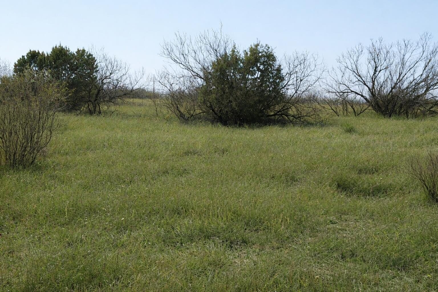 9.81 acres in Randall County gallery image 2