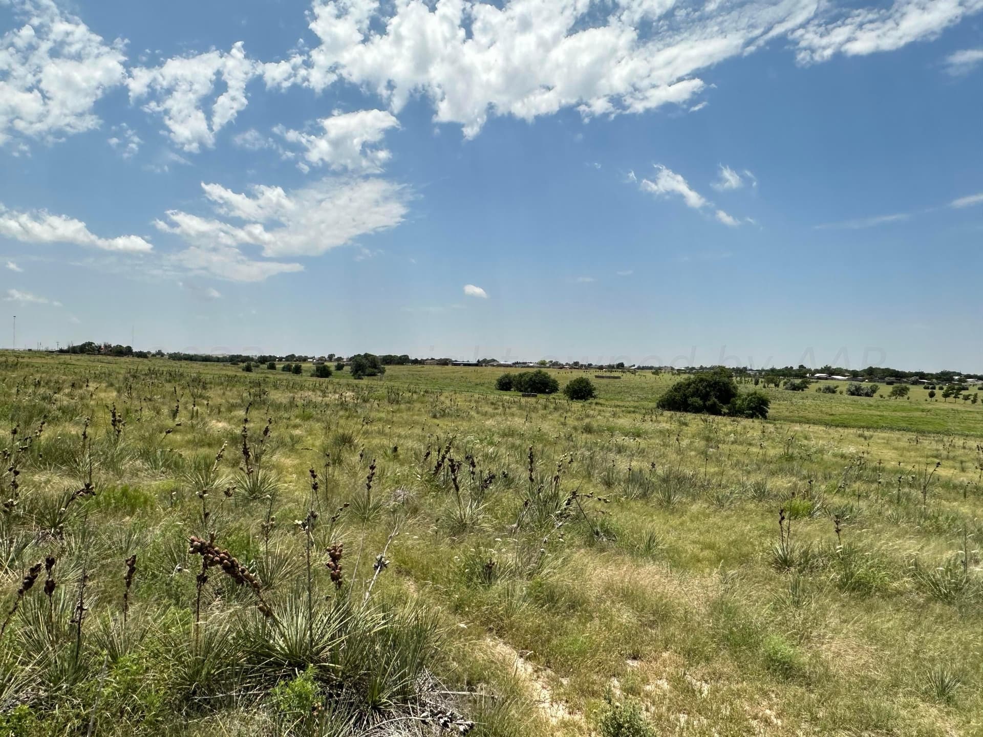 7.47 acres in Randall County gallery image 3