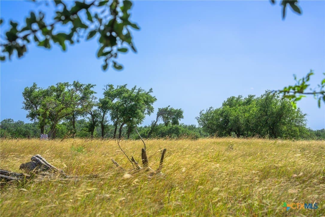 10 acres in Kerr County gallery image 3