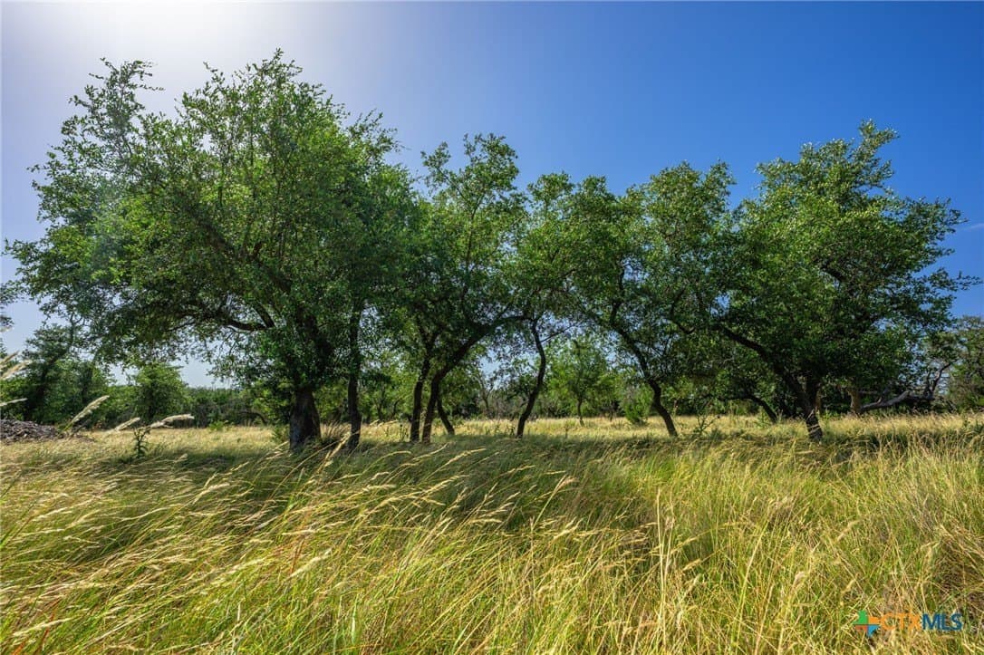 10 acres in Kerr County - photo 7
