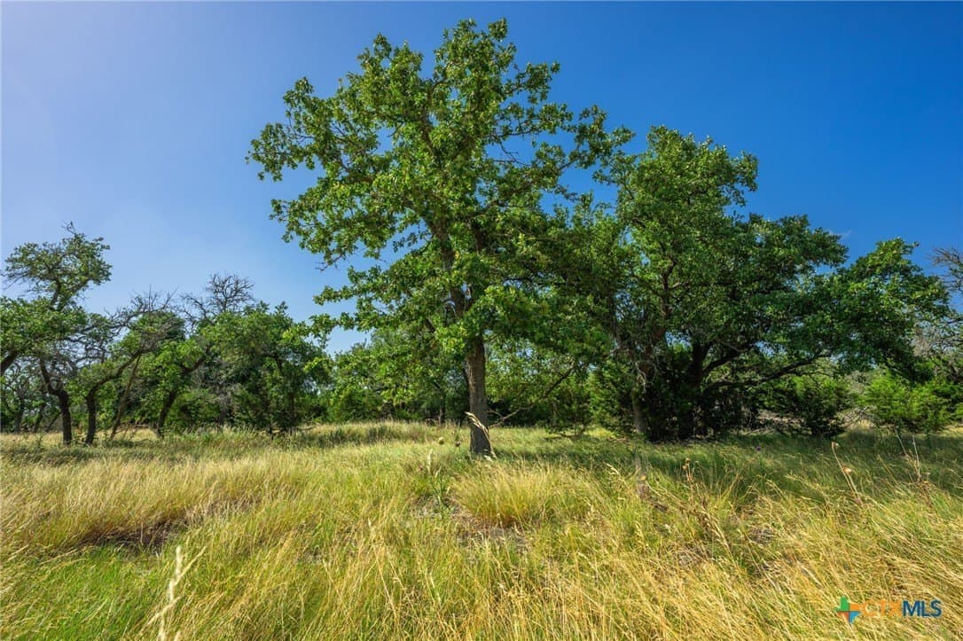 10 acres in Kerr County gallery image 4