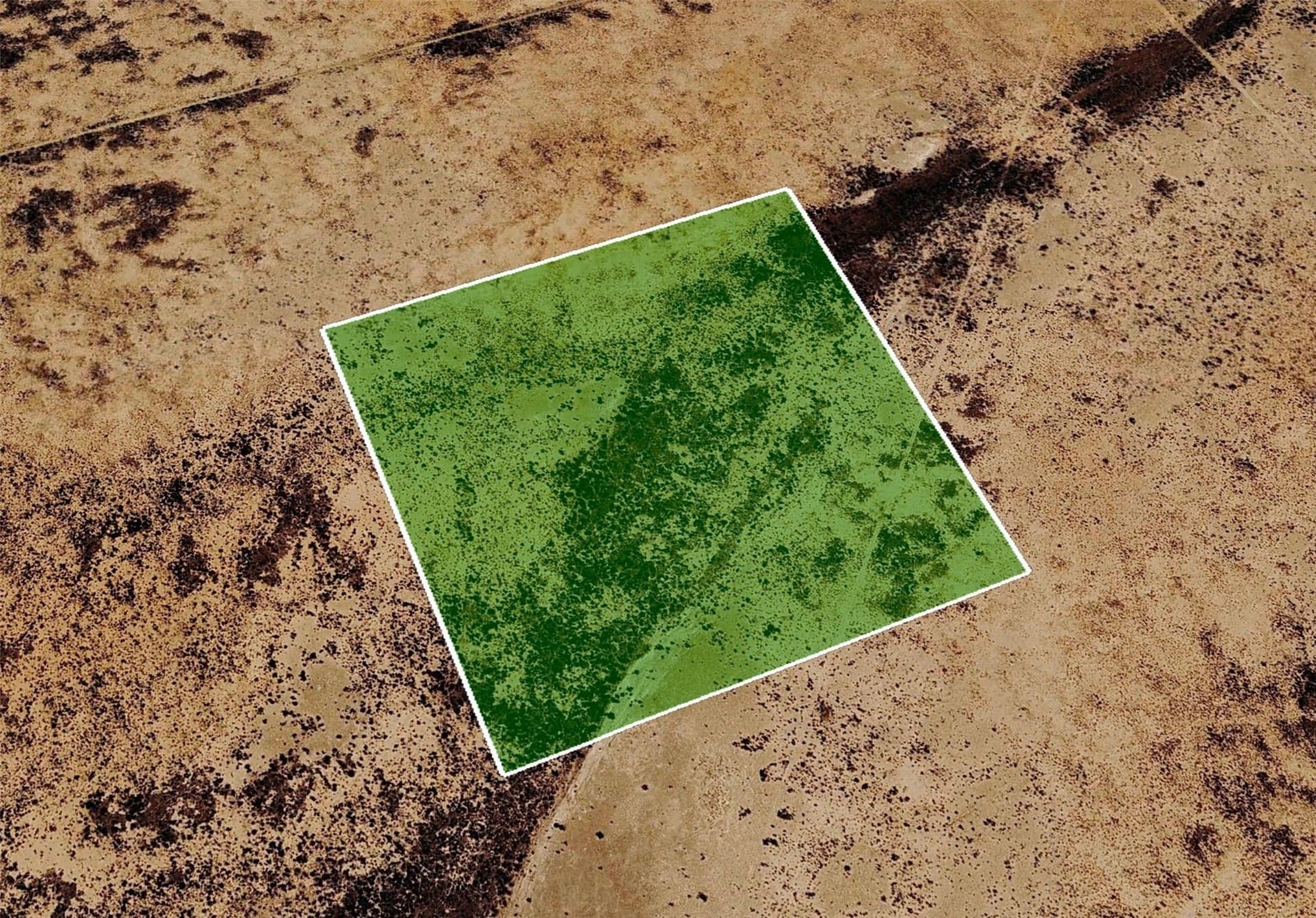 40 acres in Reeves County - photo 5