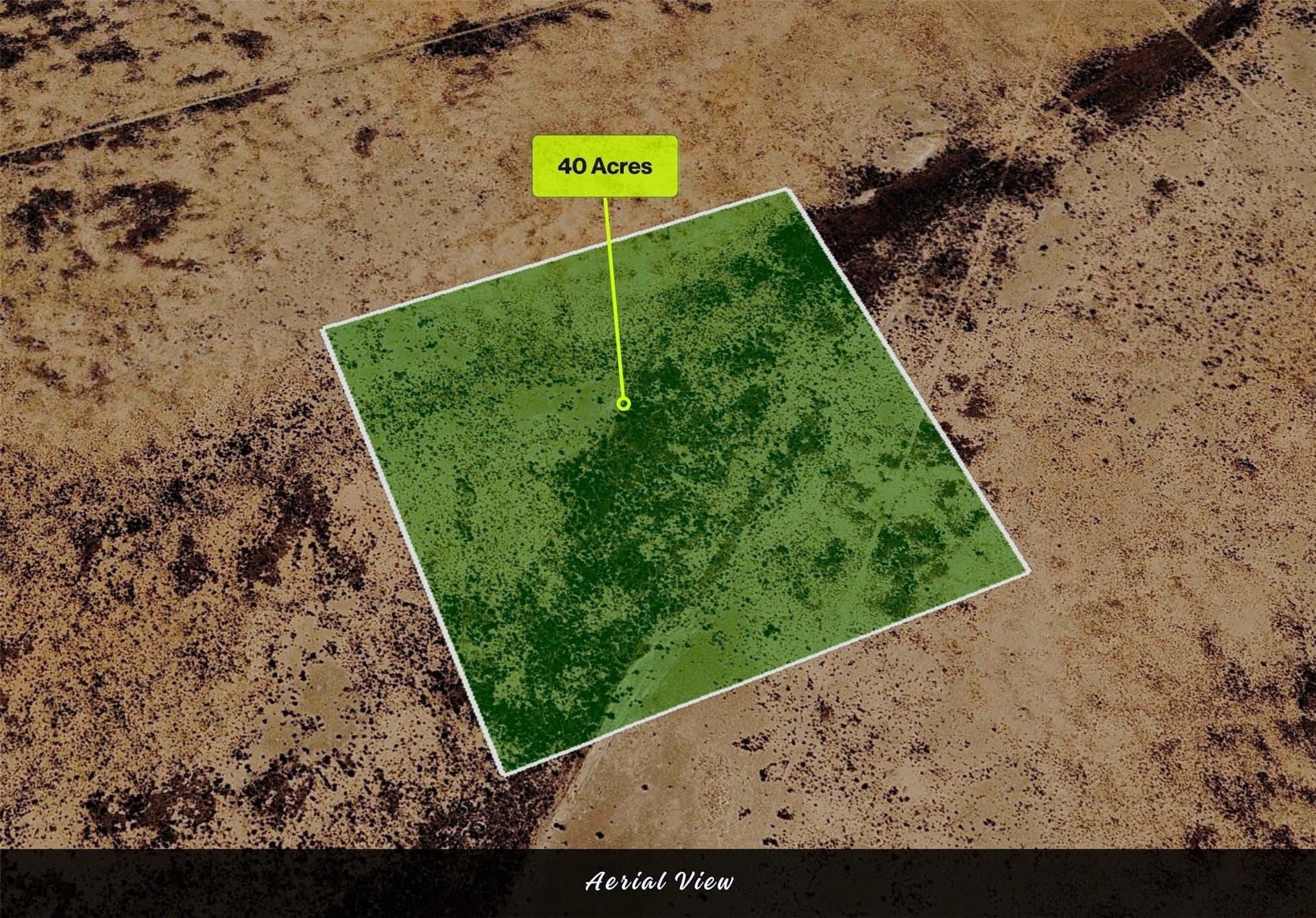 40 acres in Reeves County