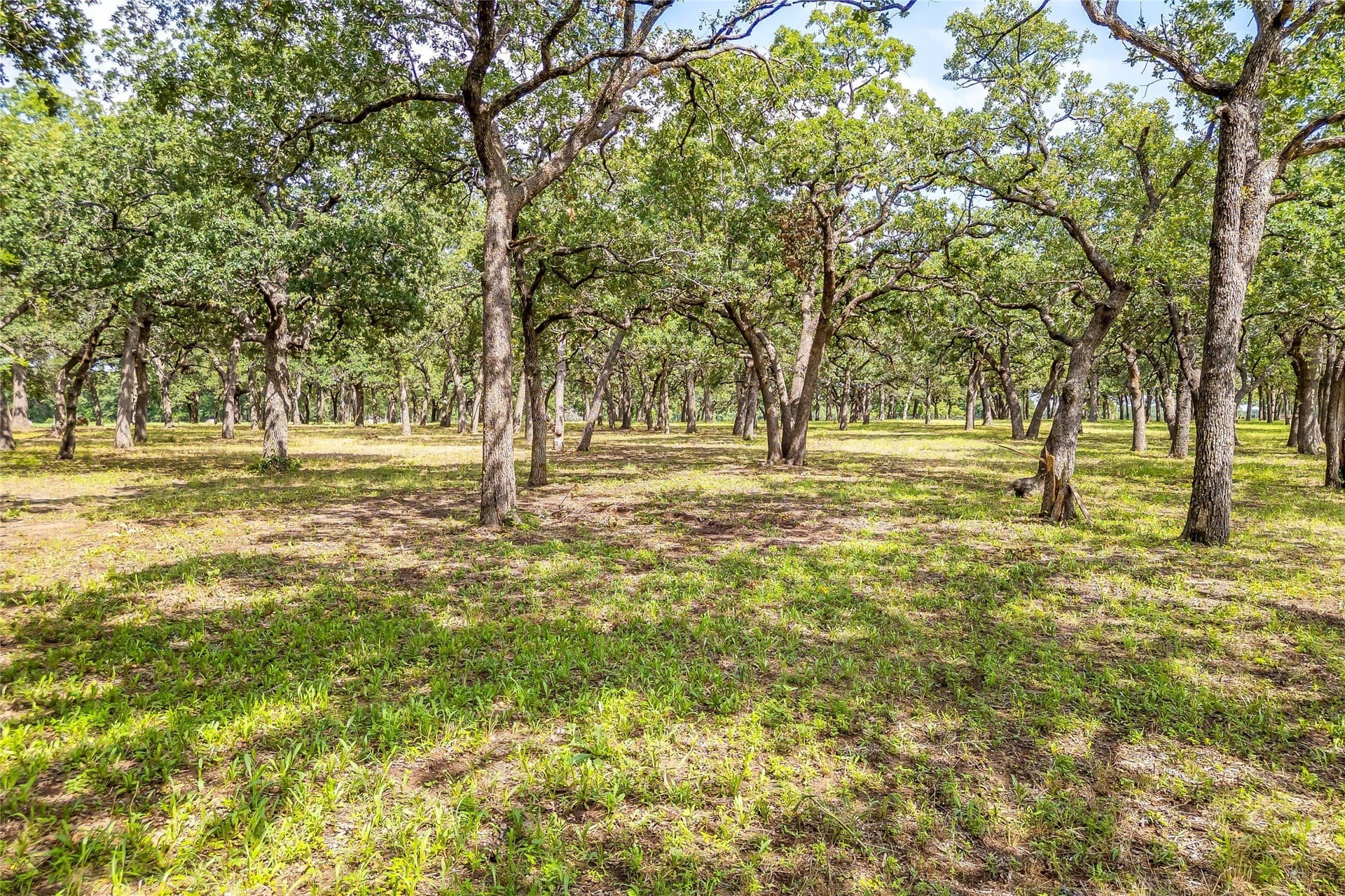 17 acres in Montague County - photo 5