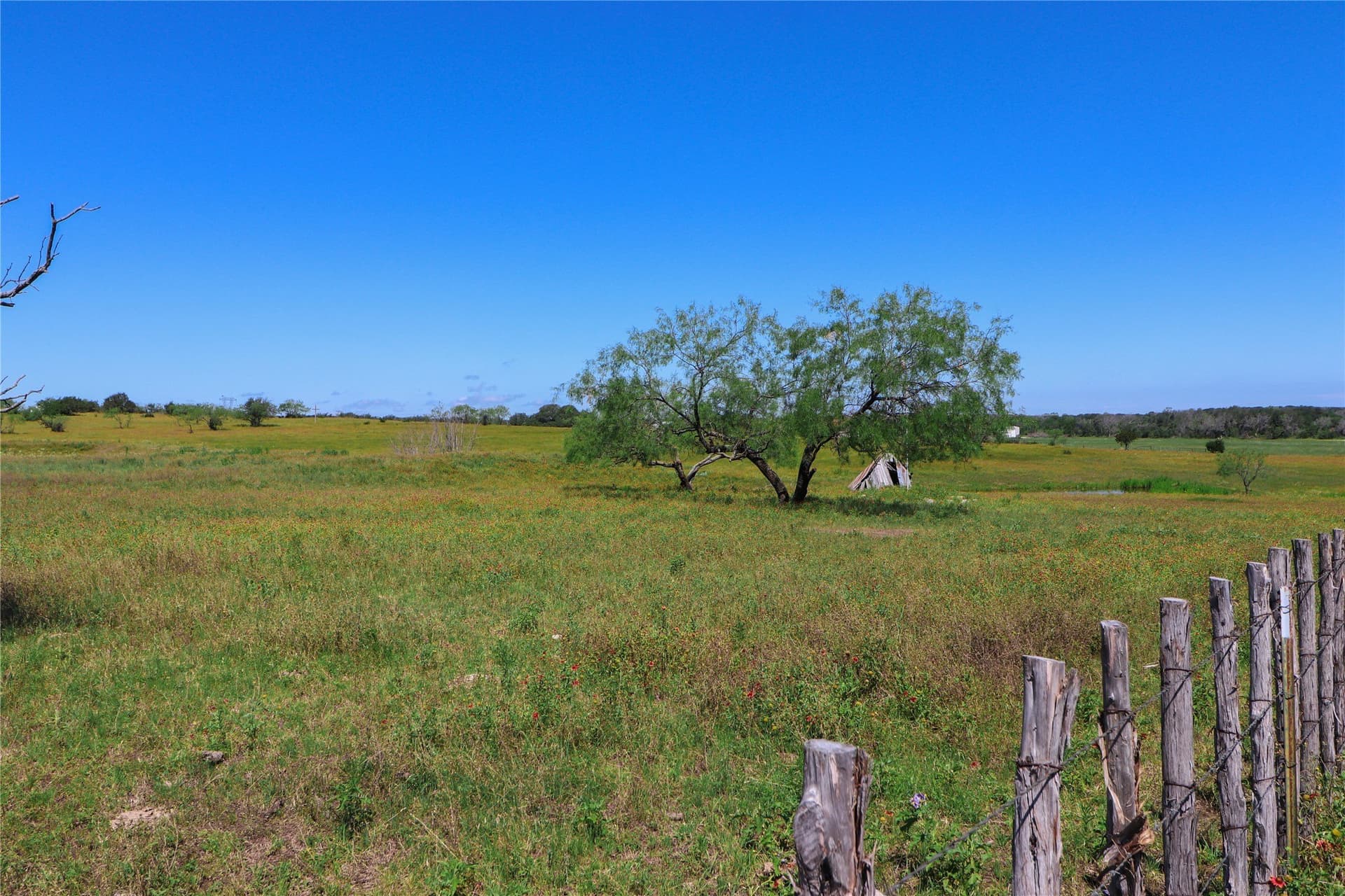 14.65 acres in Erath County featured view