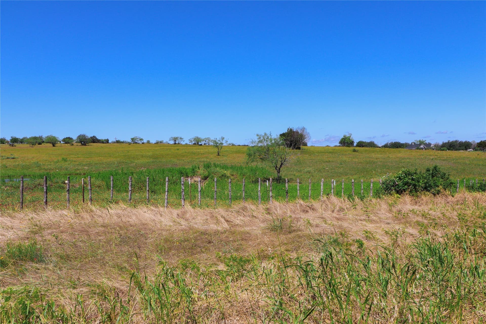 14.65 acres in Erath County - photo 7