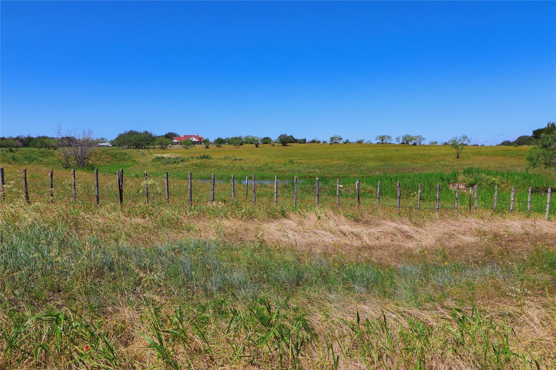 14.65 acres in Erath County gallery image 2