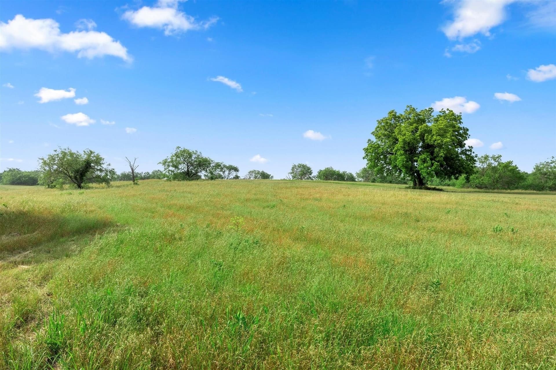 1.03 acres in Navarro County - photo 11