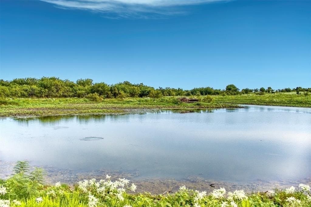 946.71 acres in Parker County gallery image 4