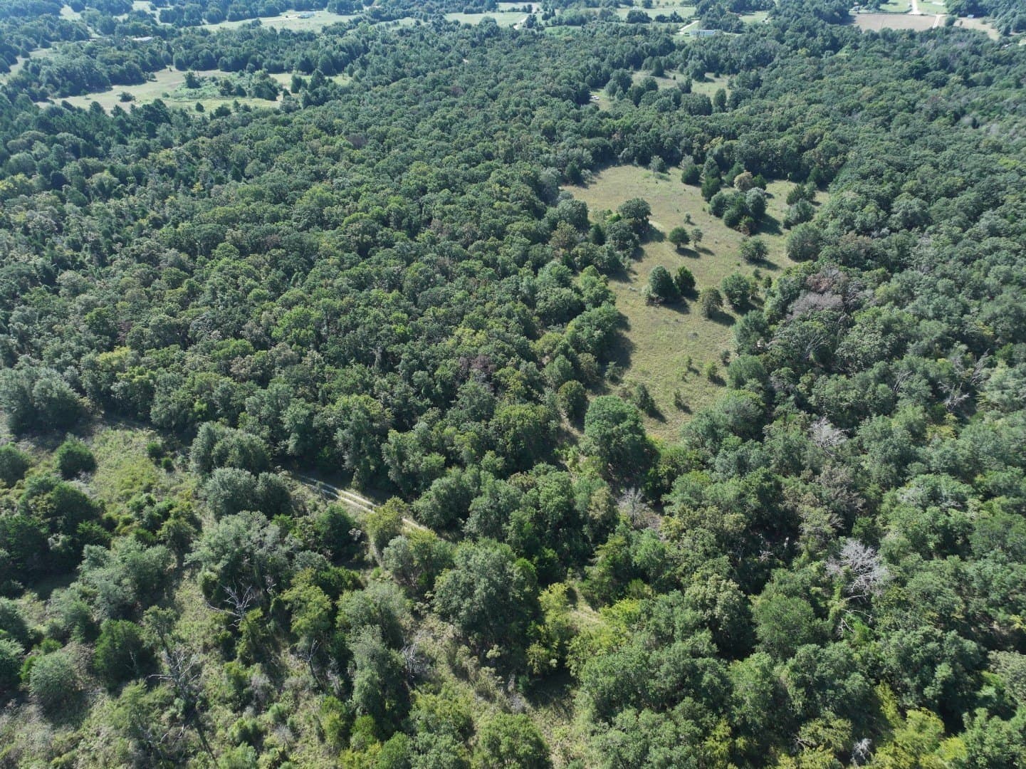 57 acres in Freestone County - photo 31
