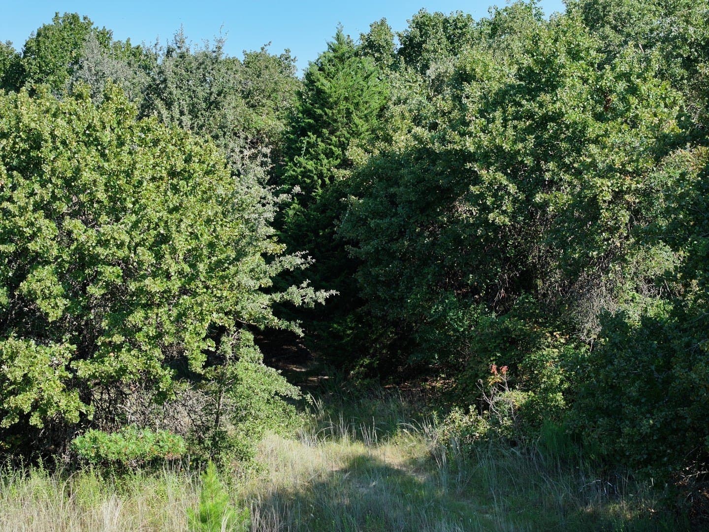57 acres in Freestone County - photo 27