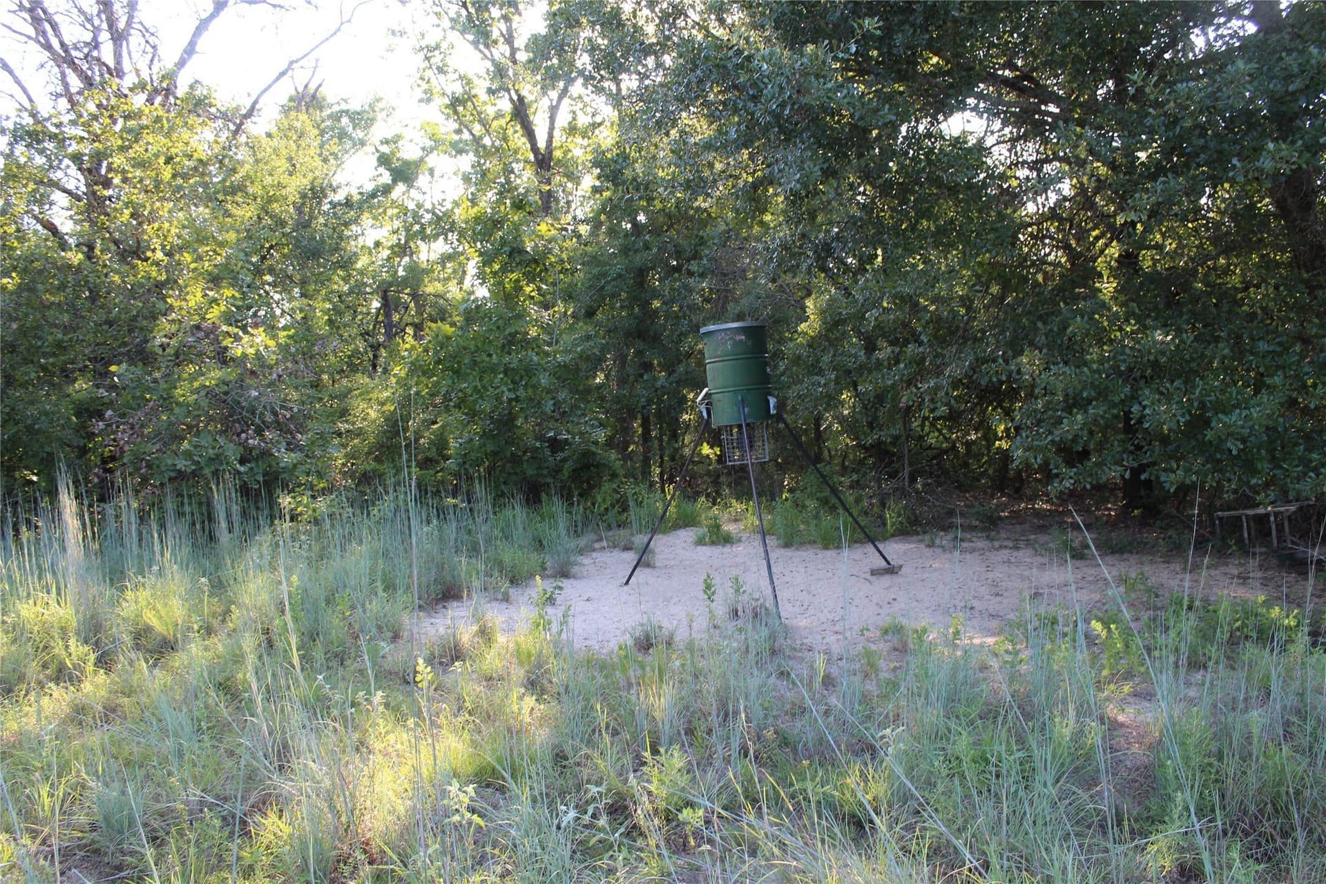 57 acres in Freestone County - photo 8
