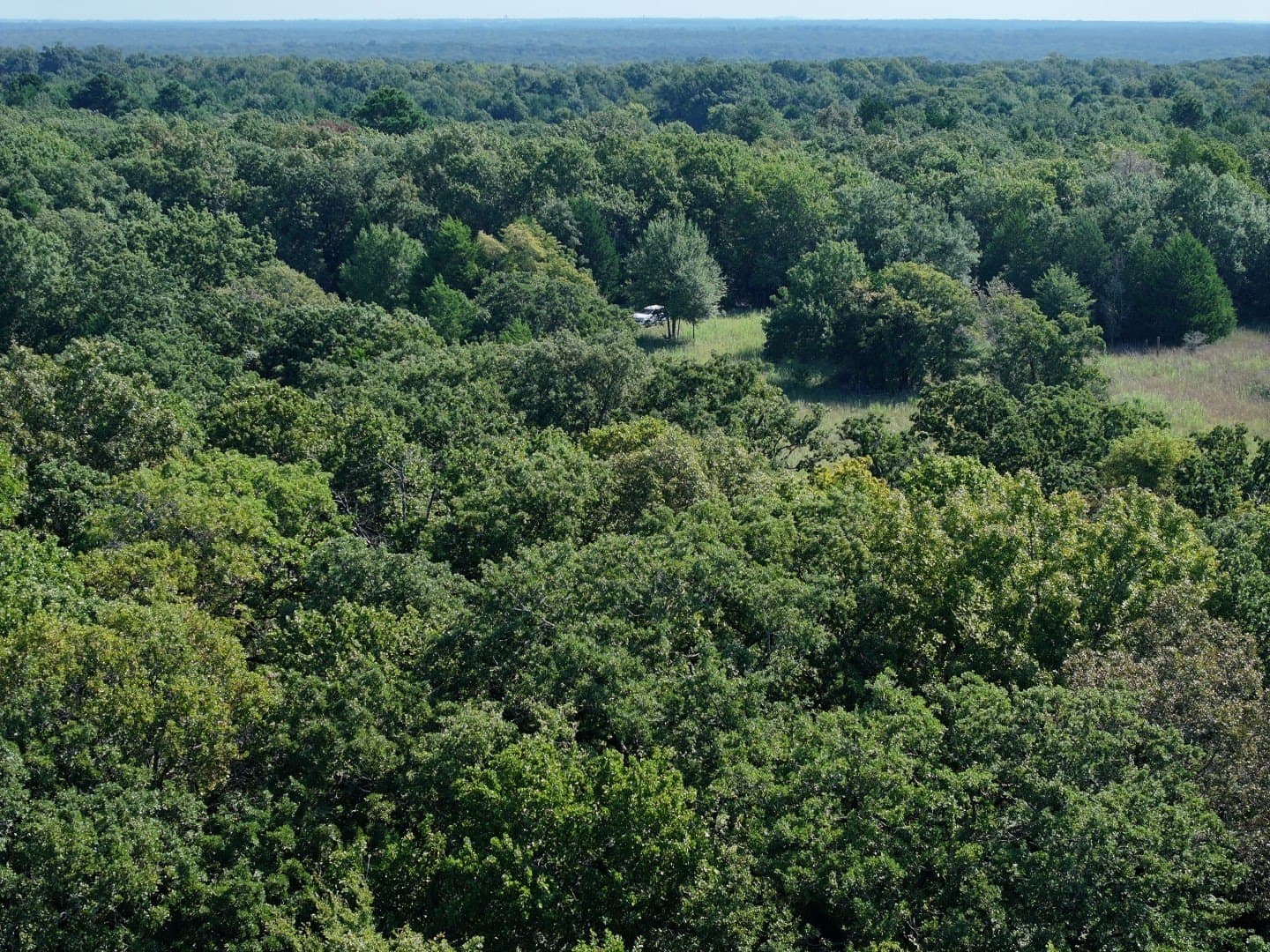 57 acres in Freestone County - photo 38