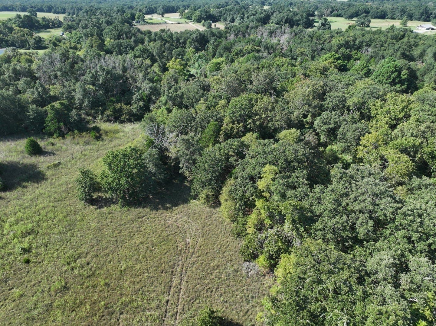57 acres in Freestone County - photo 13