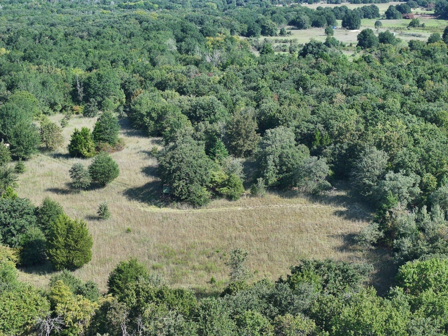 57 acres in Freestone County - photo 24