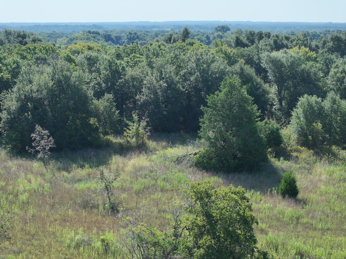 57 acres in Freestone County - photo 21