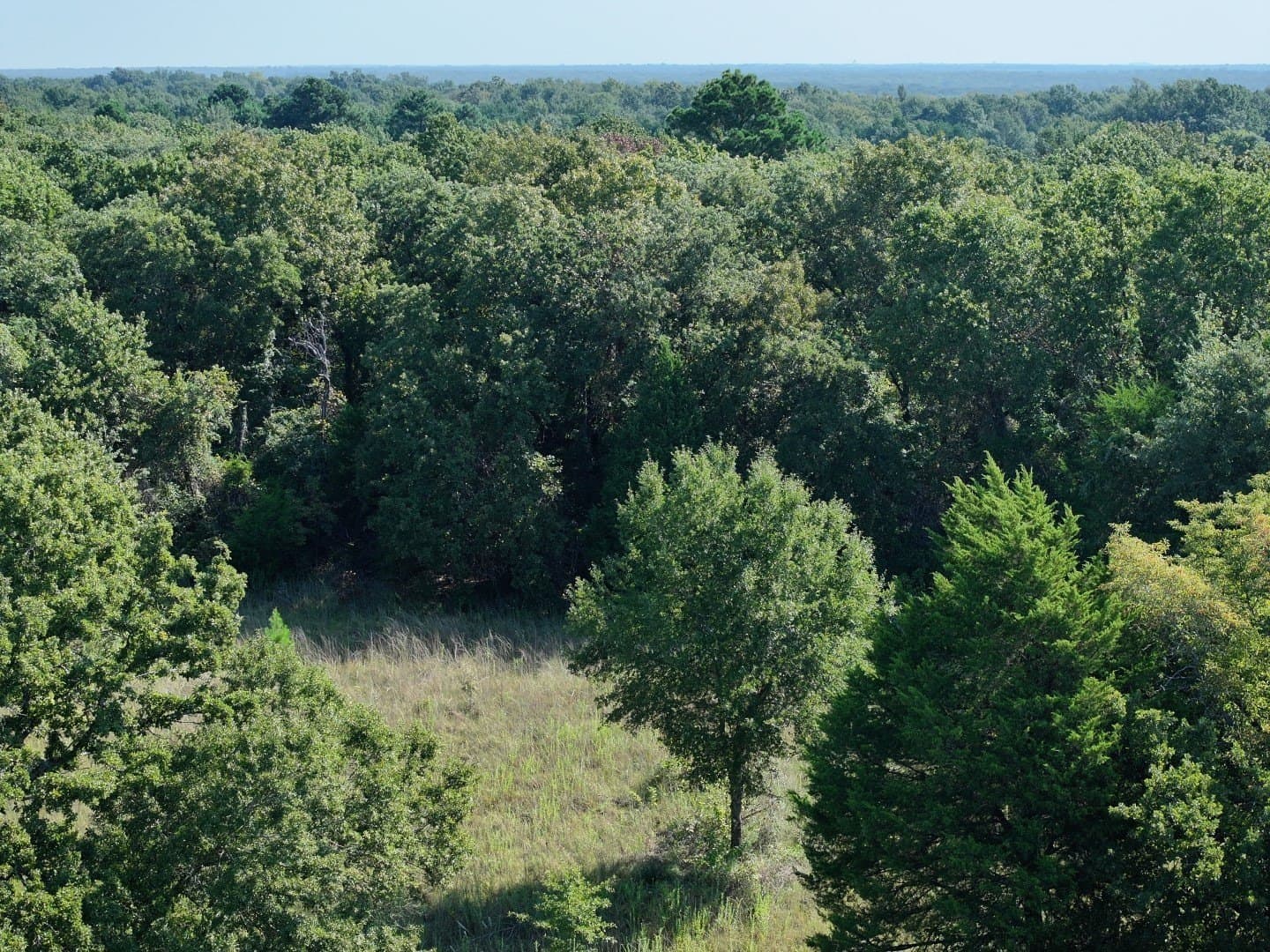 57 acres in Freestone County - photo 22