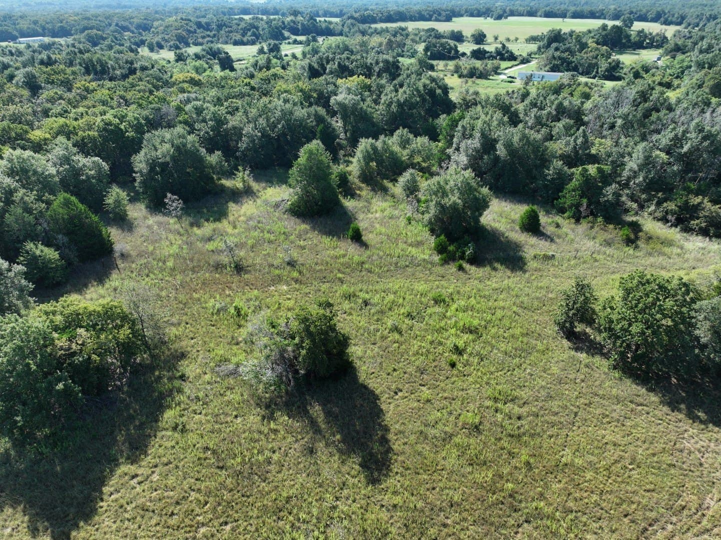 57 acres in Freestone County - photo 14