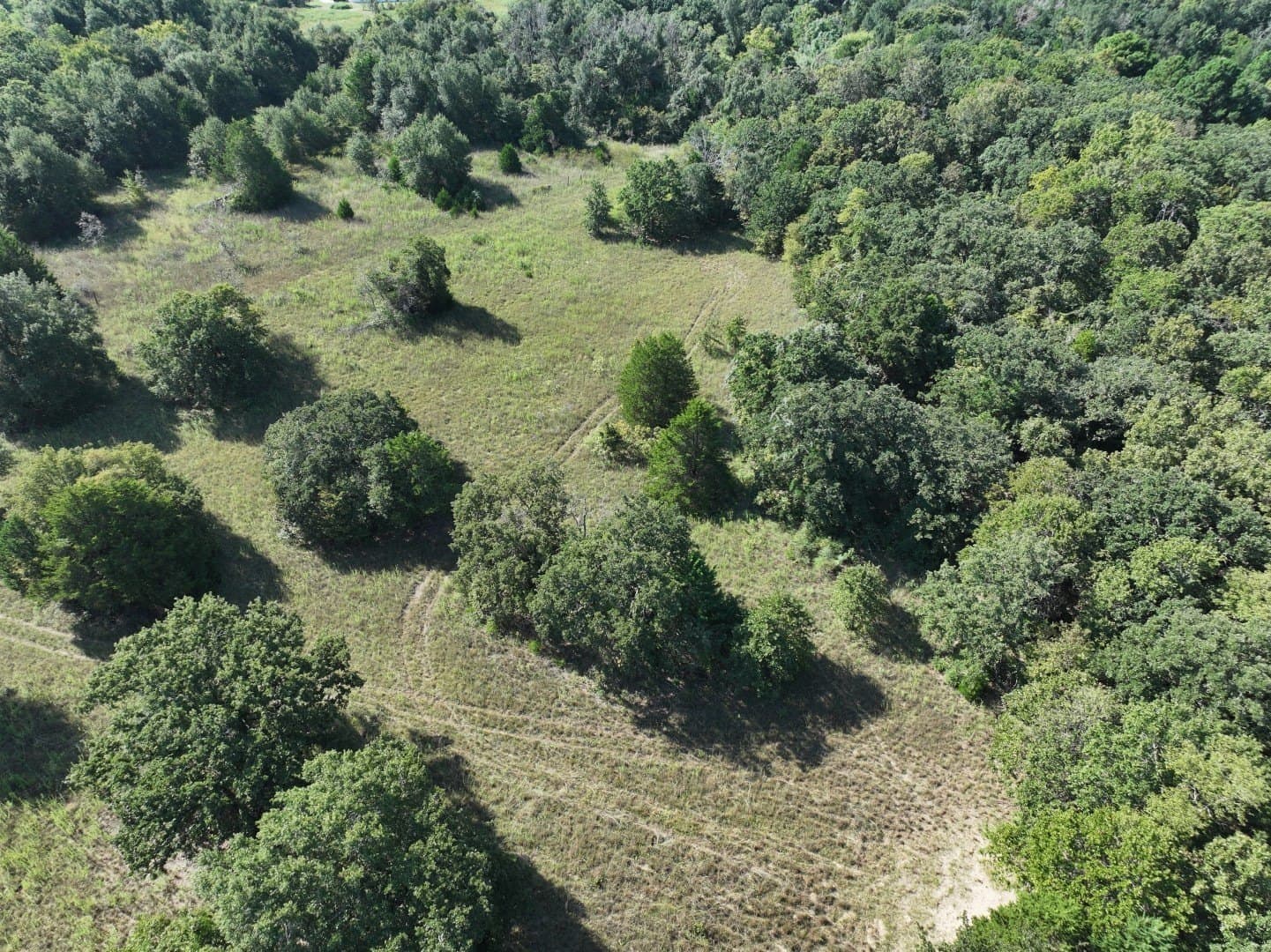 57 acres in Freestone County - photo 34