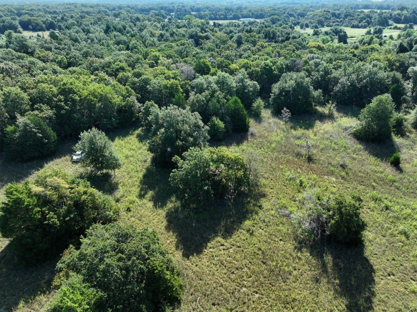 57 acres in Freestone County - photo 15