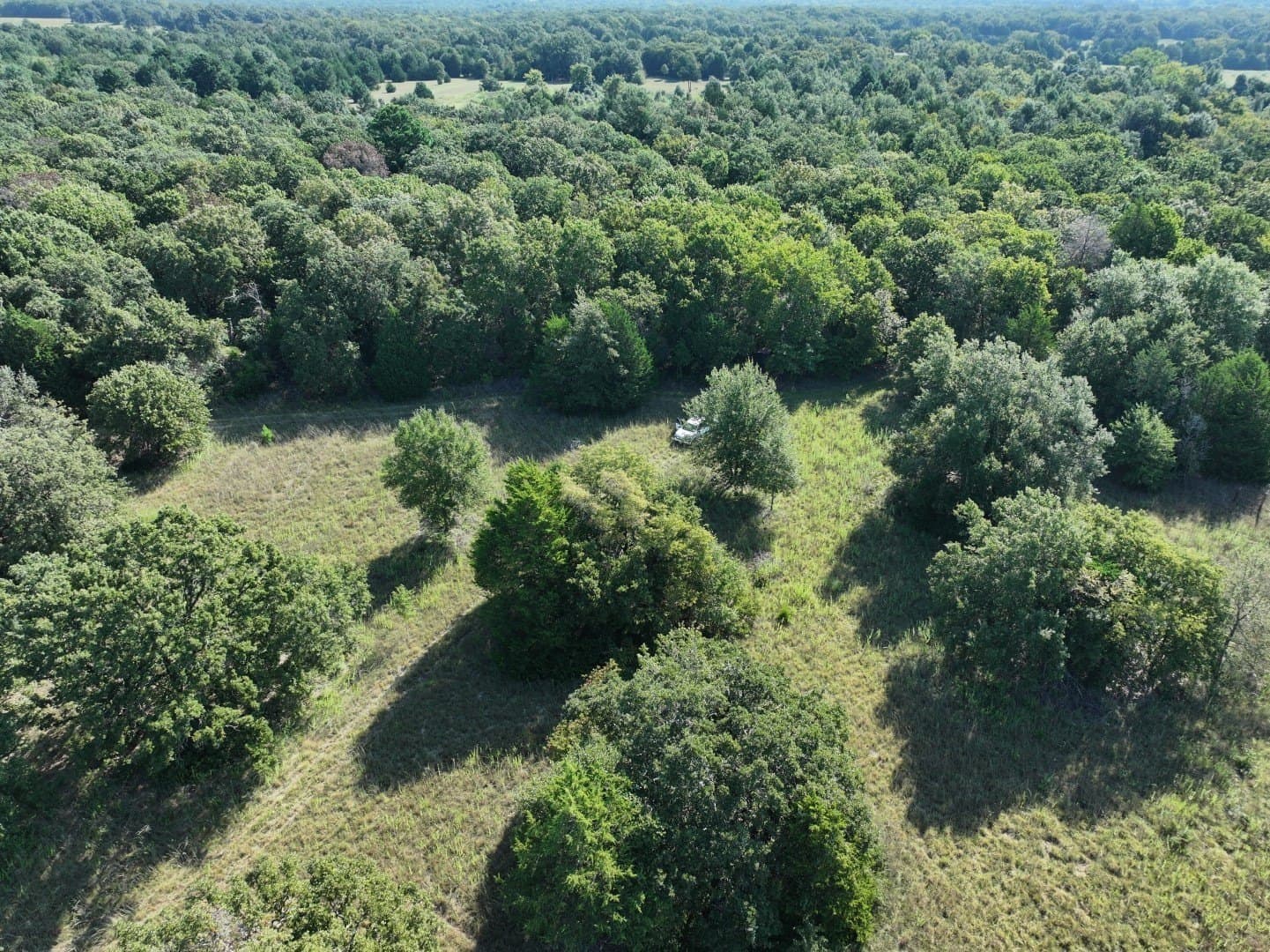 57 acres in Freestone County - photo 16