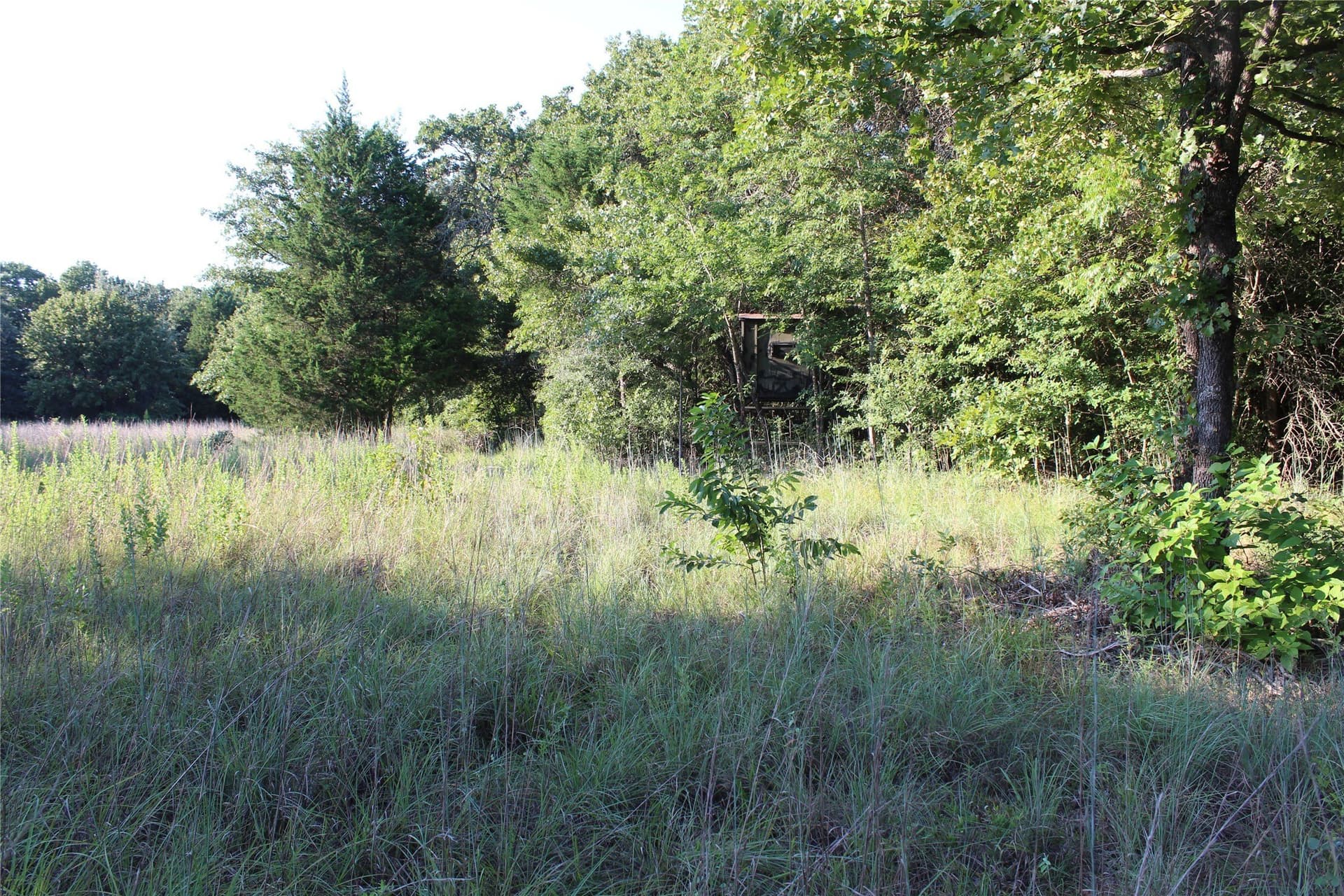 57 acres in Freestone County - photo 10