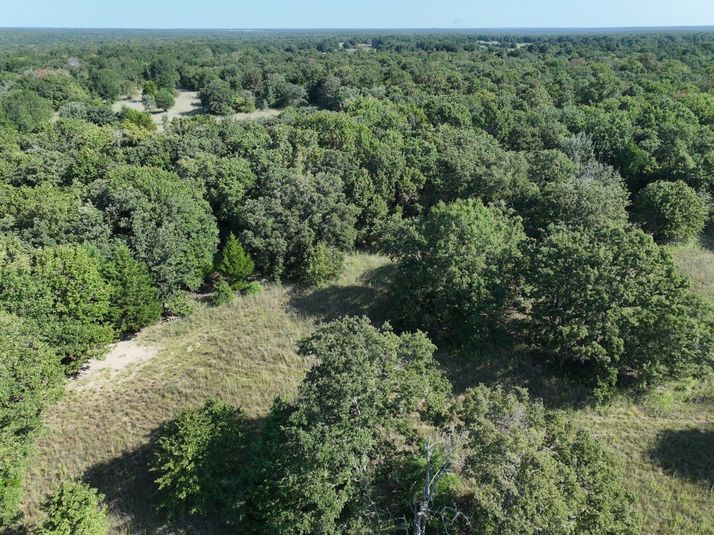 57 acres in Freestone County - photo 12
