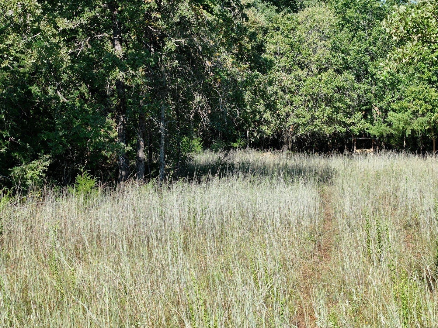 57 acres in Freestone County - photo 28