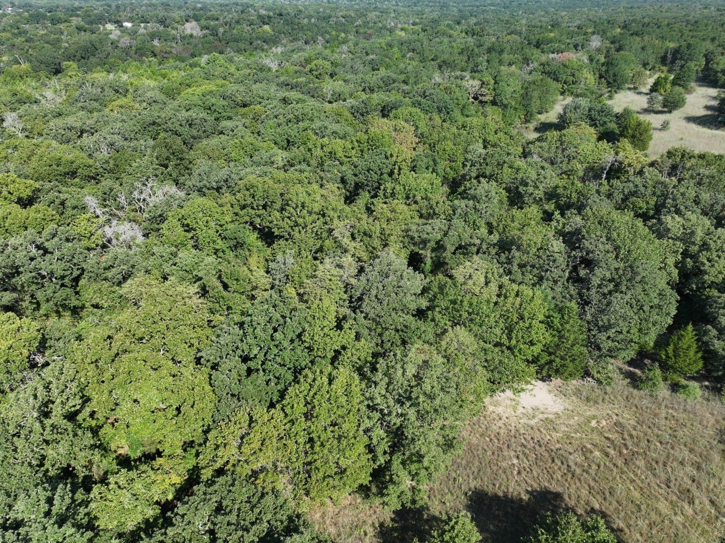 57 acres in Freestone County - photo 18