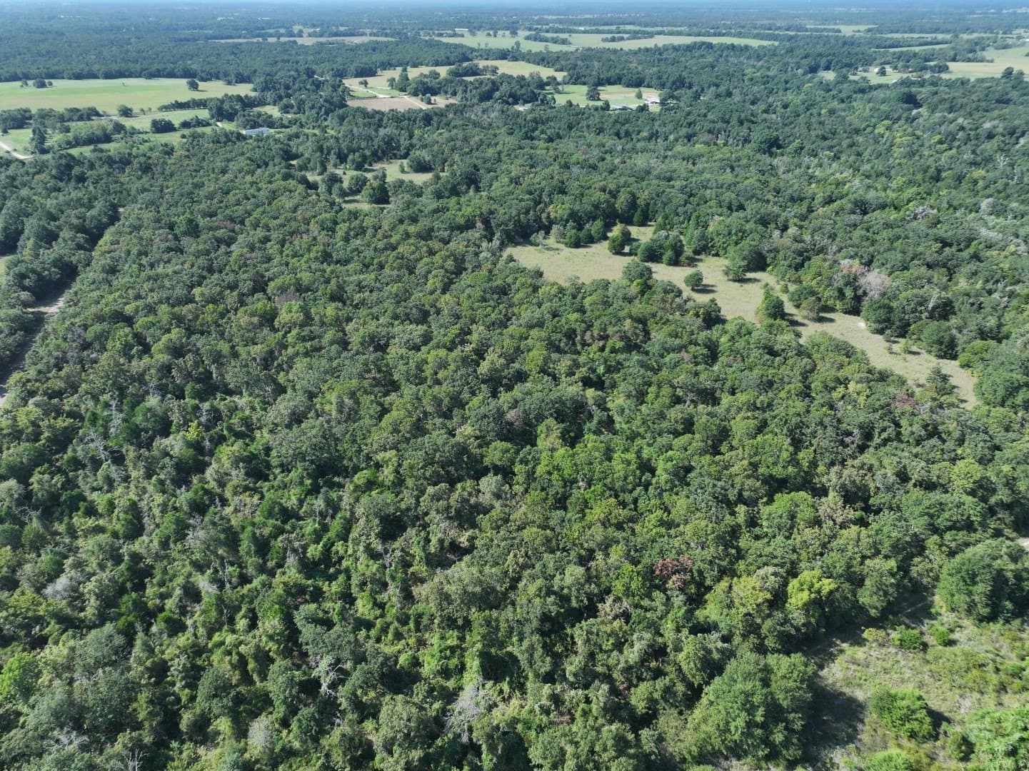57 acres in Freestone County - photo 29