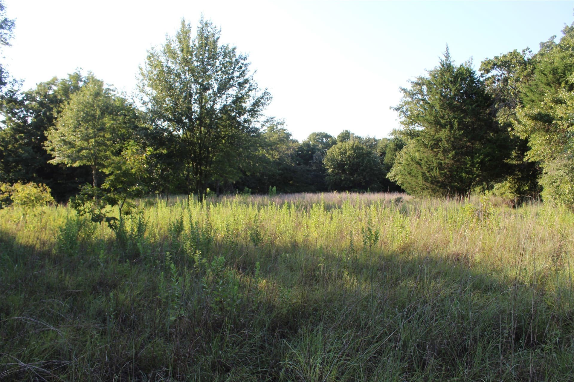 57 acres in Freestone County - photo 11