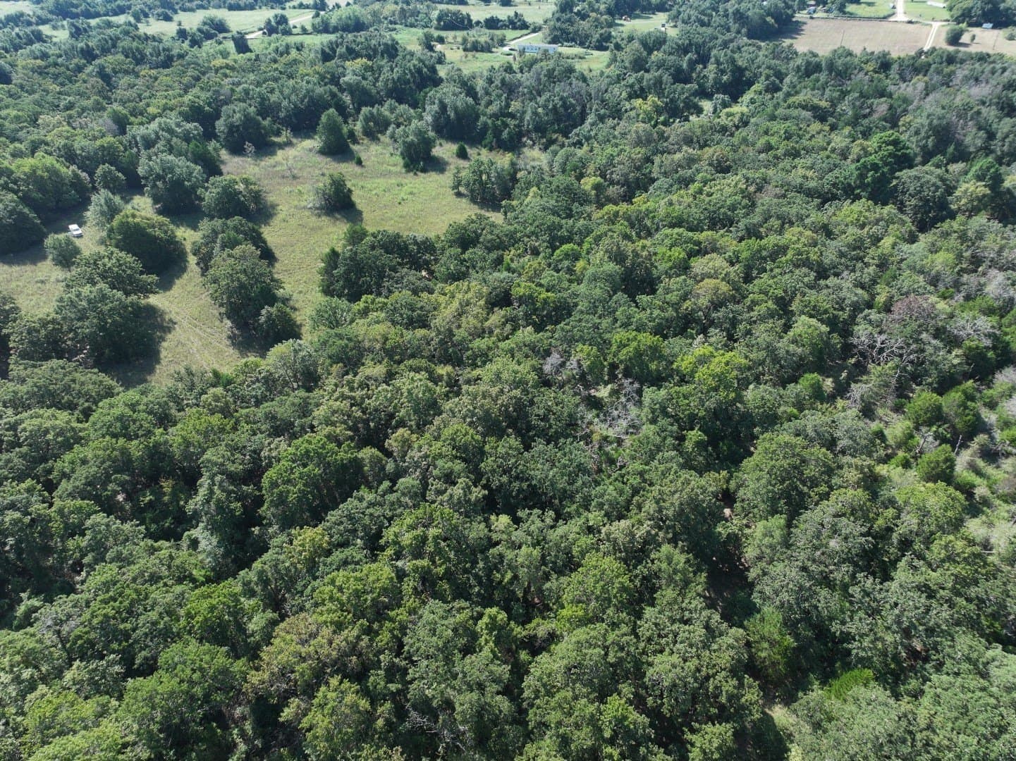 57 acres in Freestone County - photo 33