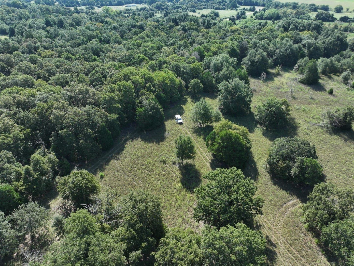 57 acres in Freestone County - photo 35