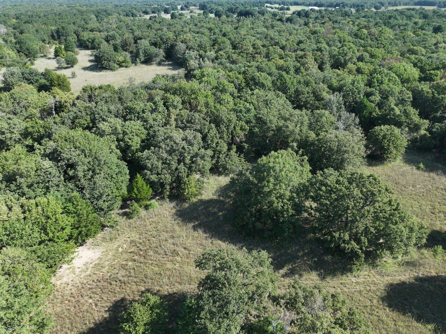 57 acres in Freestone County - photo 17