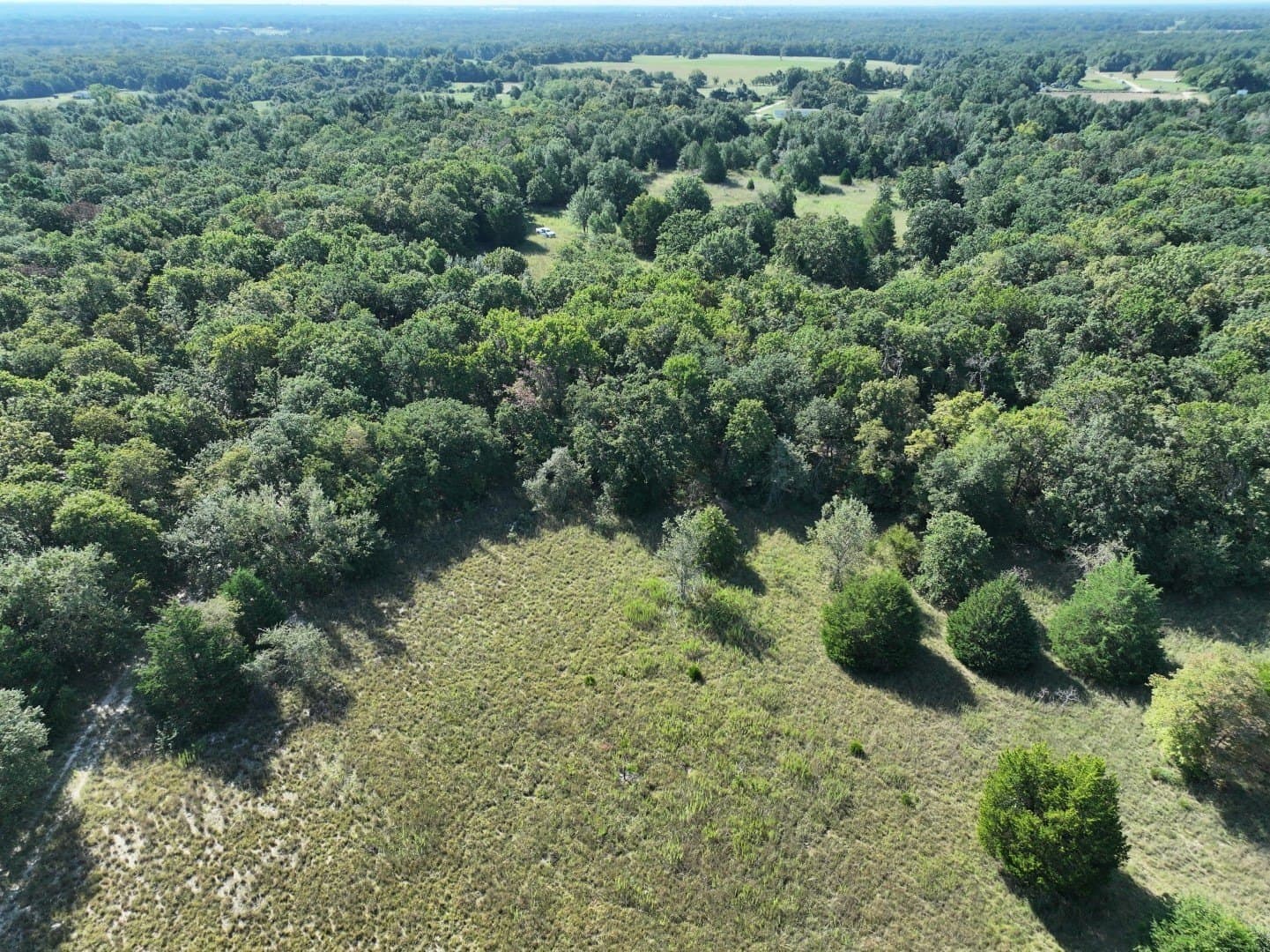 57 acres in Freestone County - photo 32