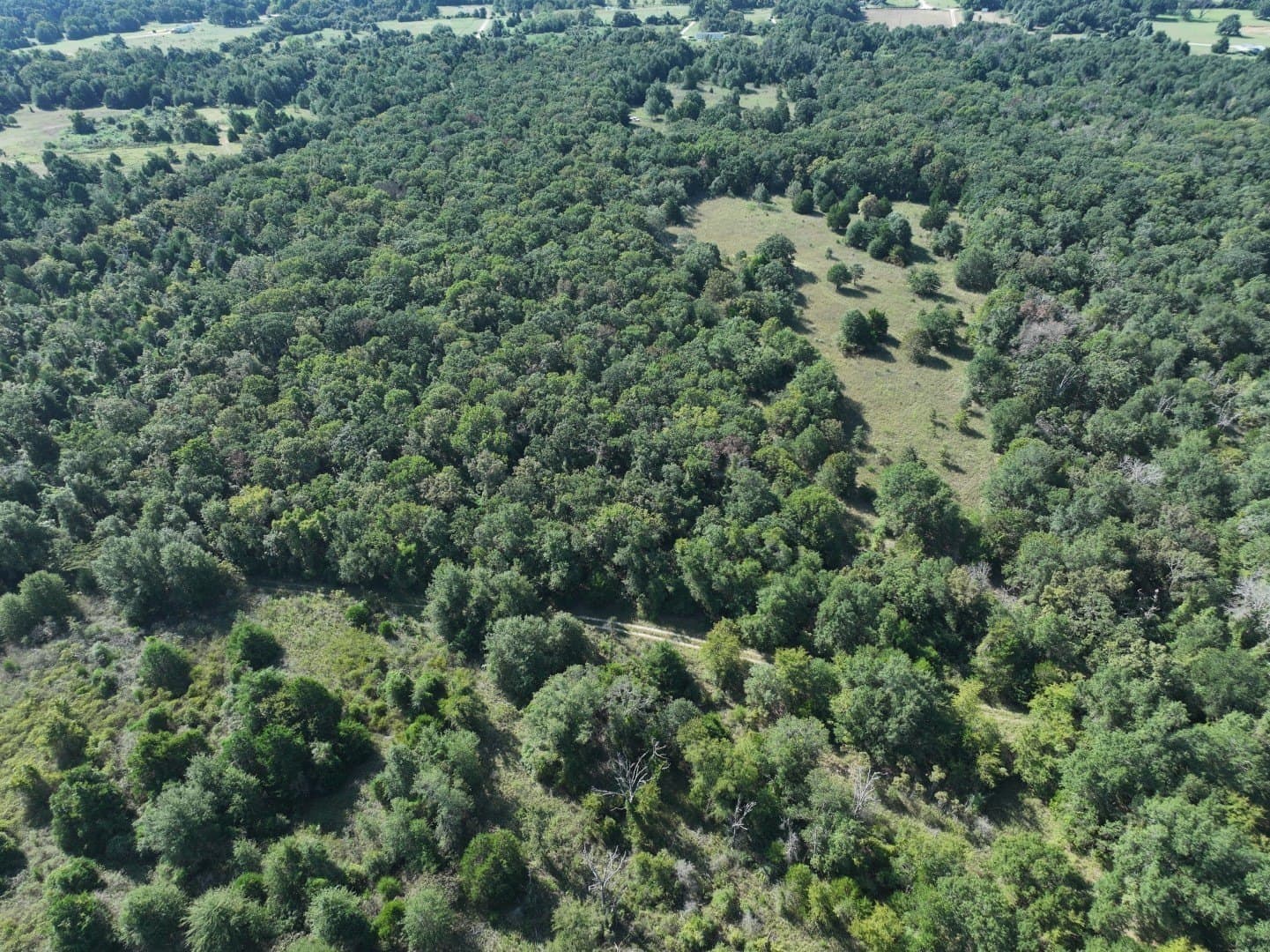 57 acres in Freestone County - photo 30