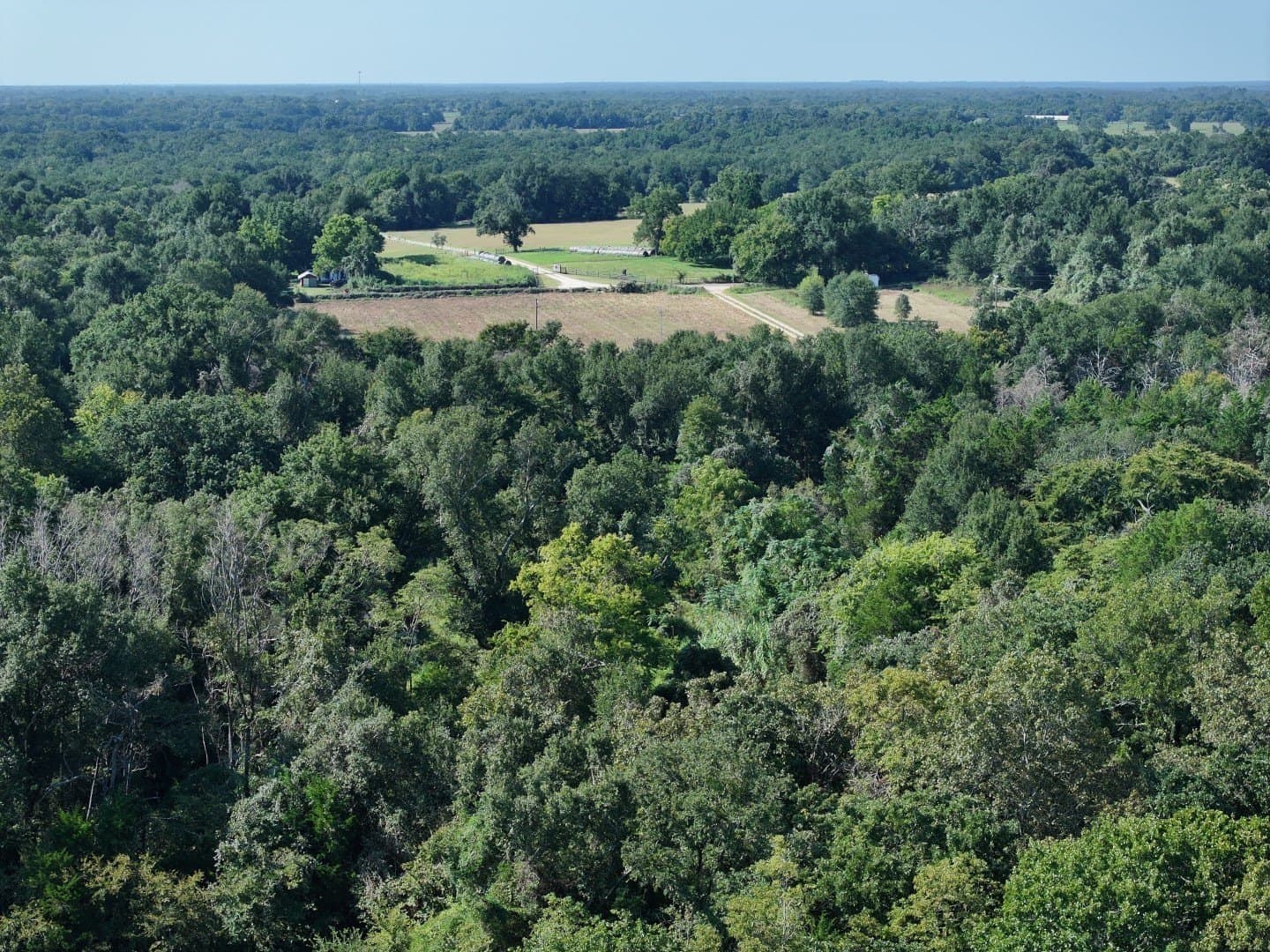 57 acres in Freestone County - photo 20