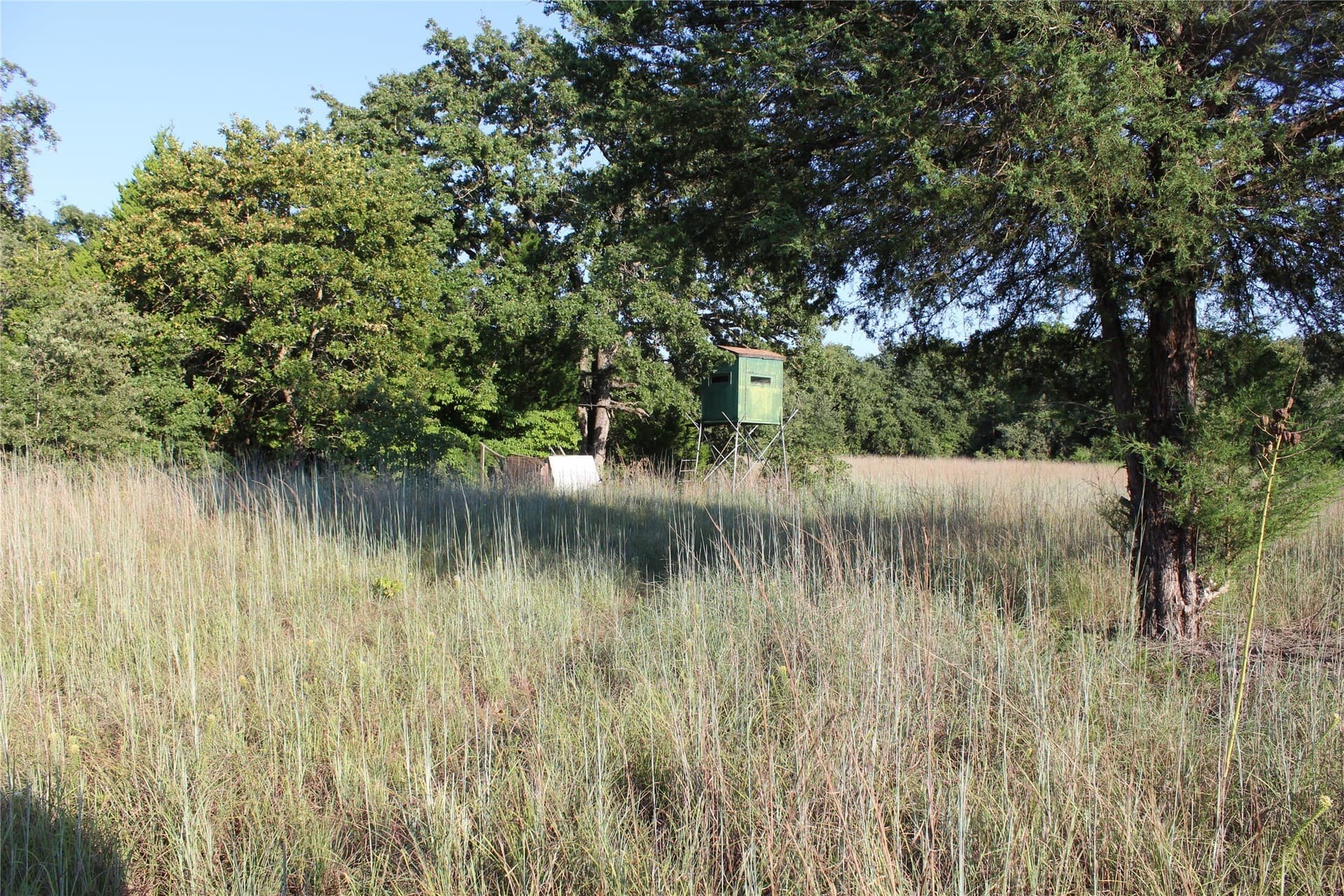 57 acres in Freestone County - photo 9