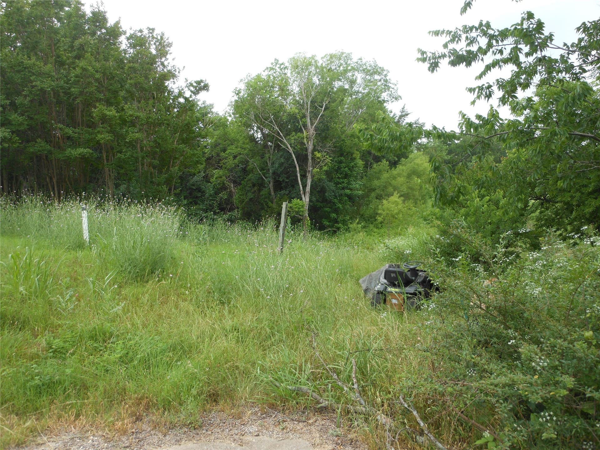 0.36 acres in Collin County gallery image 2