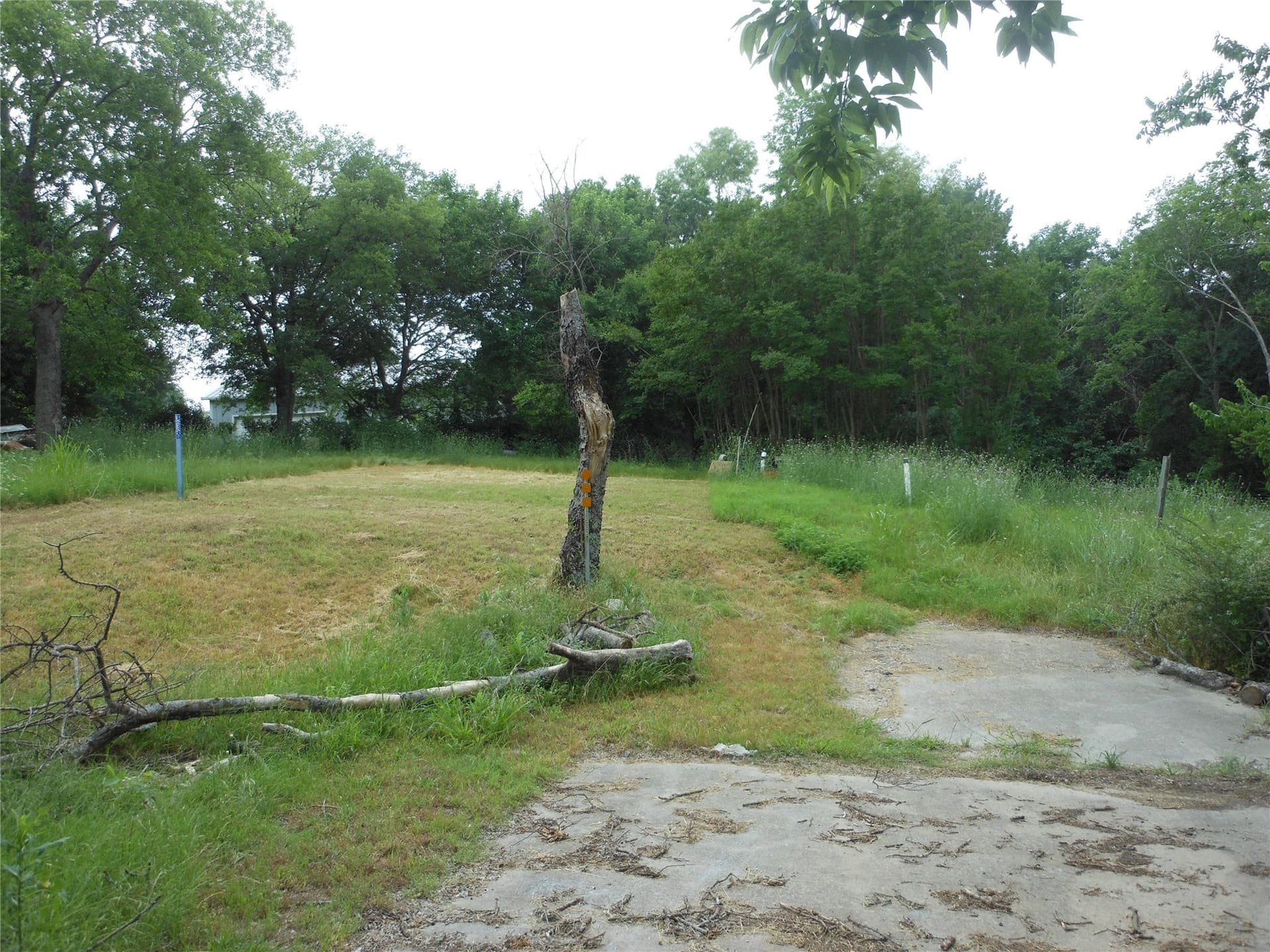 0.36 acres in Collin County gallery image 4