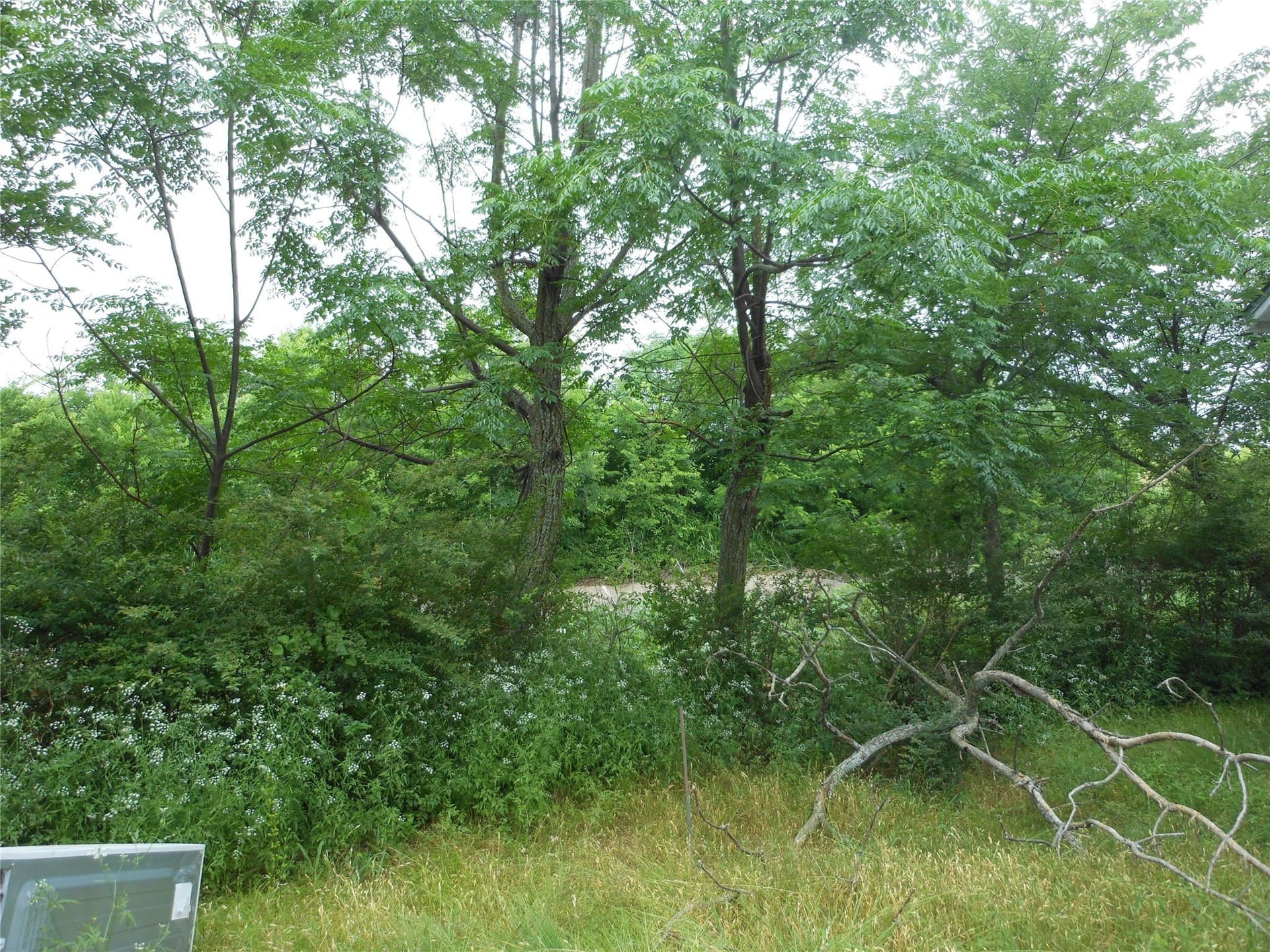 0.36 acres in Collin County gallery image 3