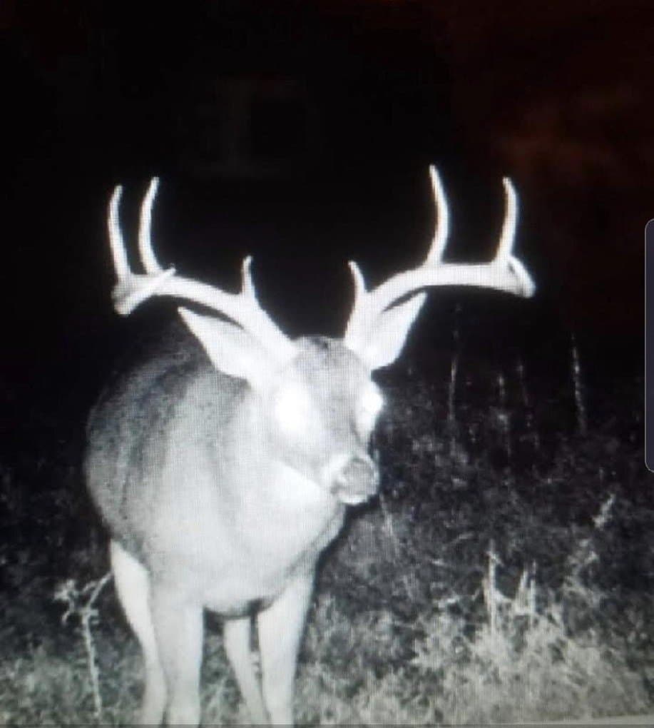 20.85 acres in Red River (TX) County featured view