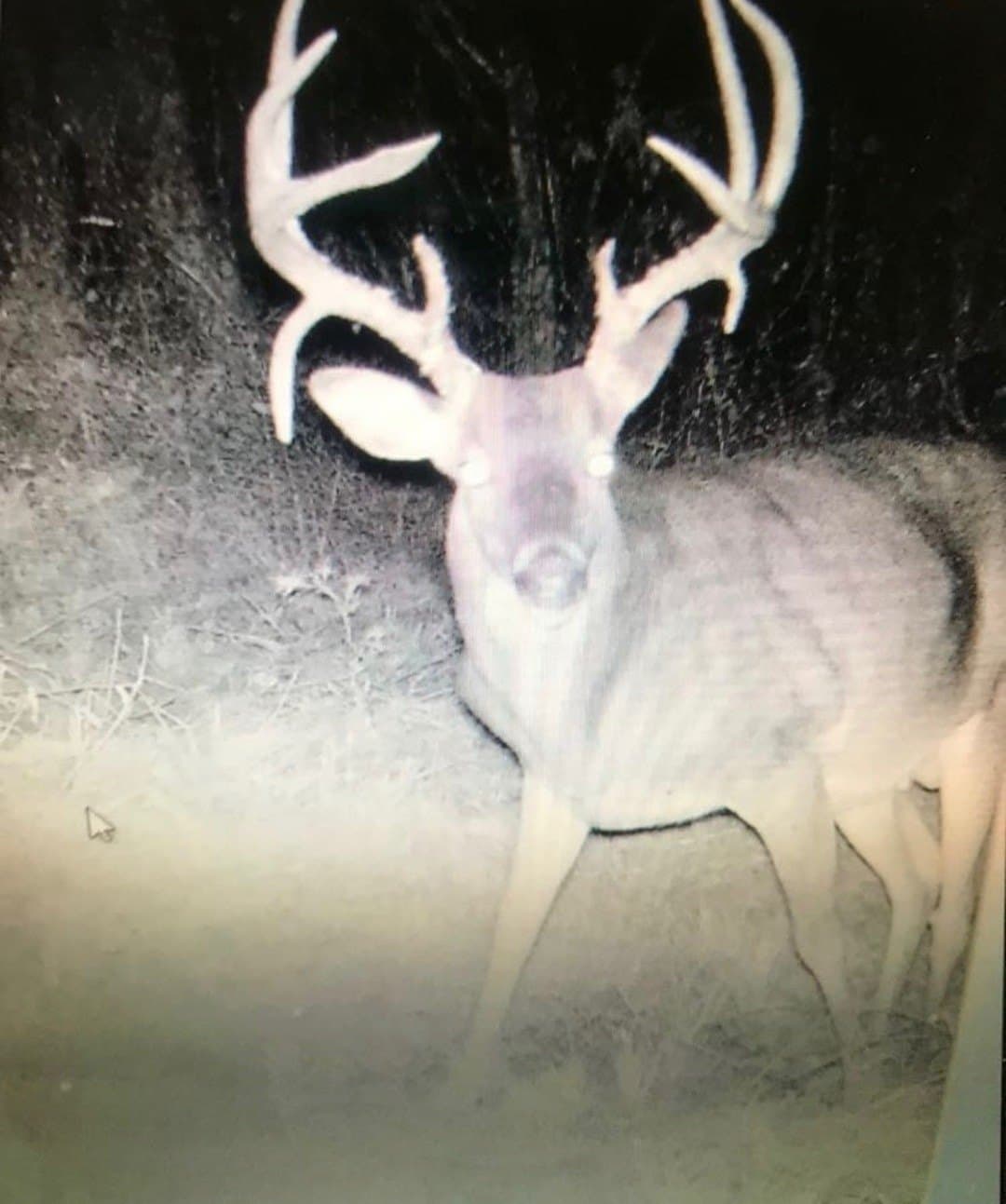 20.85 acres in Red River (TX) County - photo 6