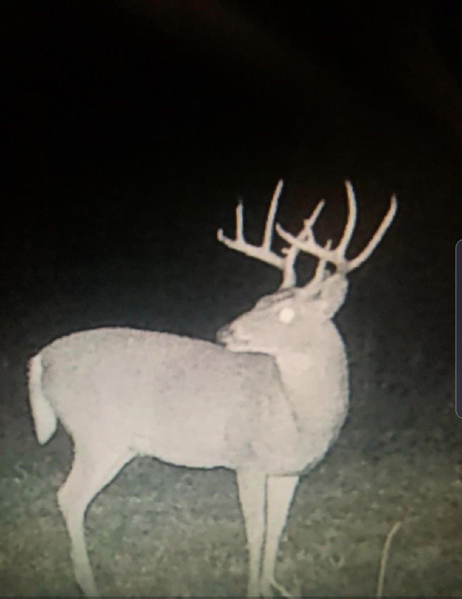20.85 acres in Red River (TX) County - photo 8