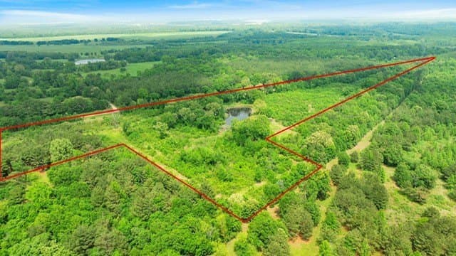 20.85 acres in Red River (TX) County gallery image 4