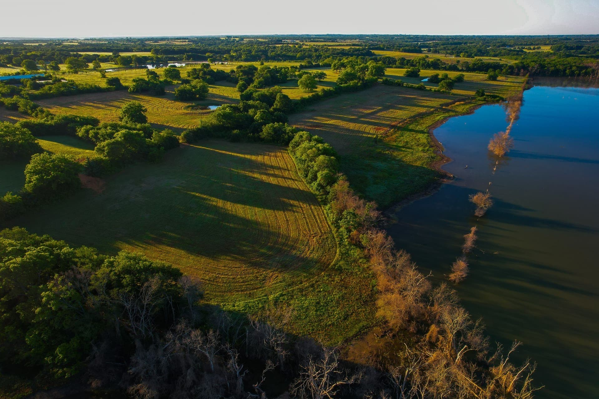 45.99 acres in Fannin County - photo 32
