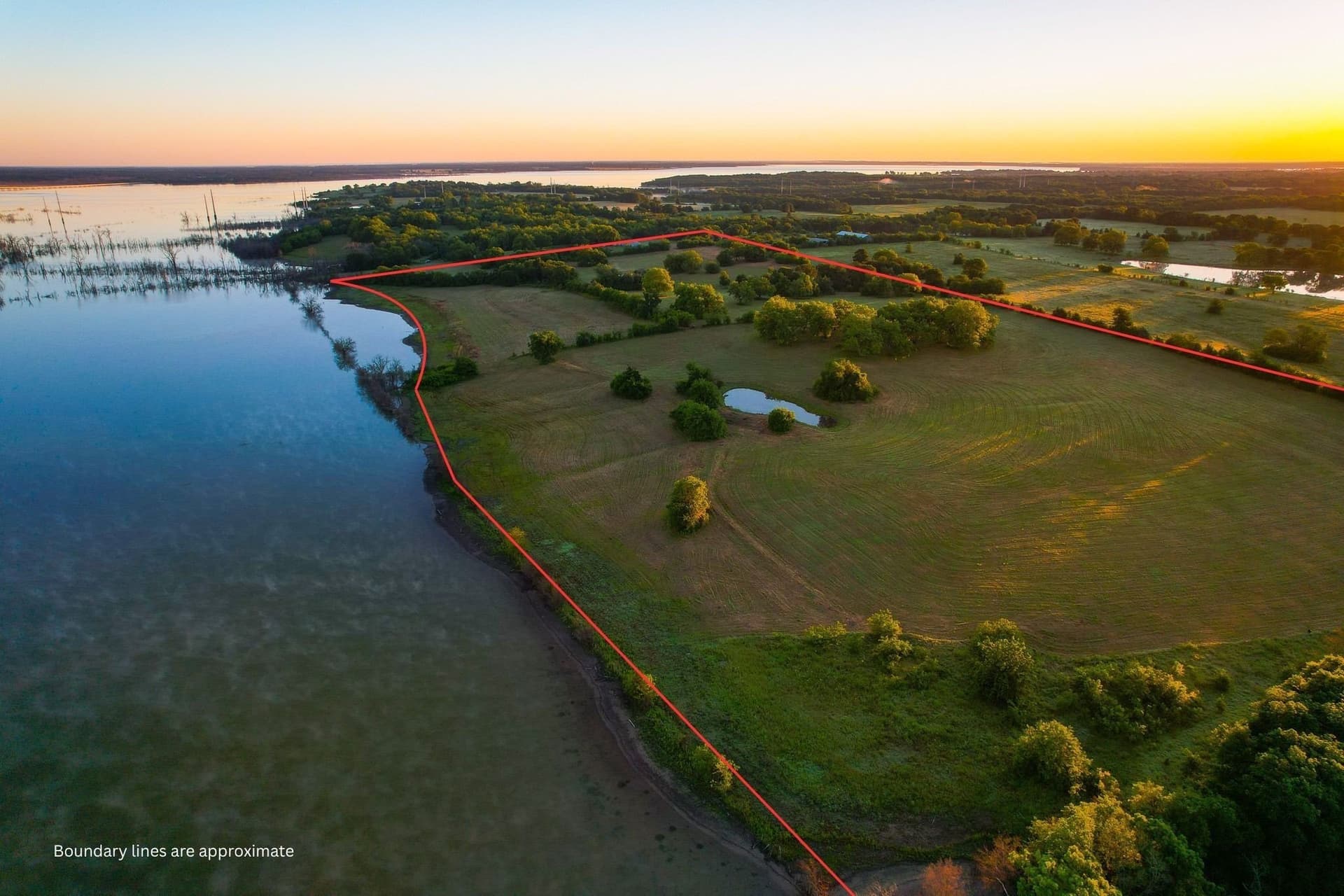 45.99 acres in Fannin County gallery image 4