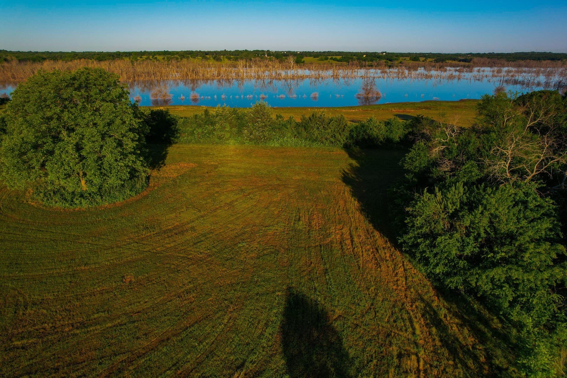 45.99 acres in Fannin County - photo 36