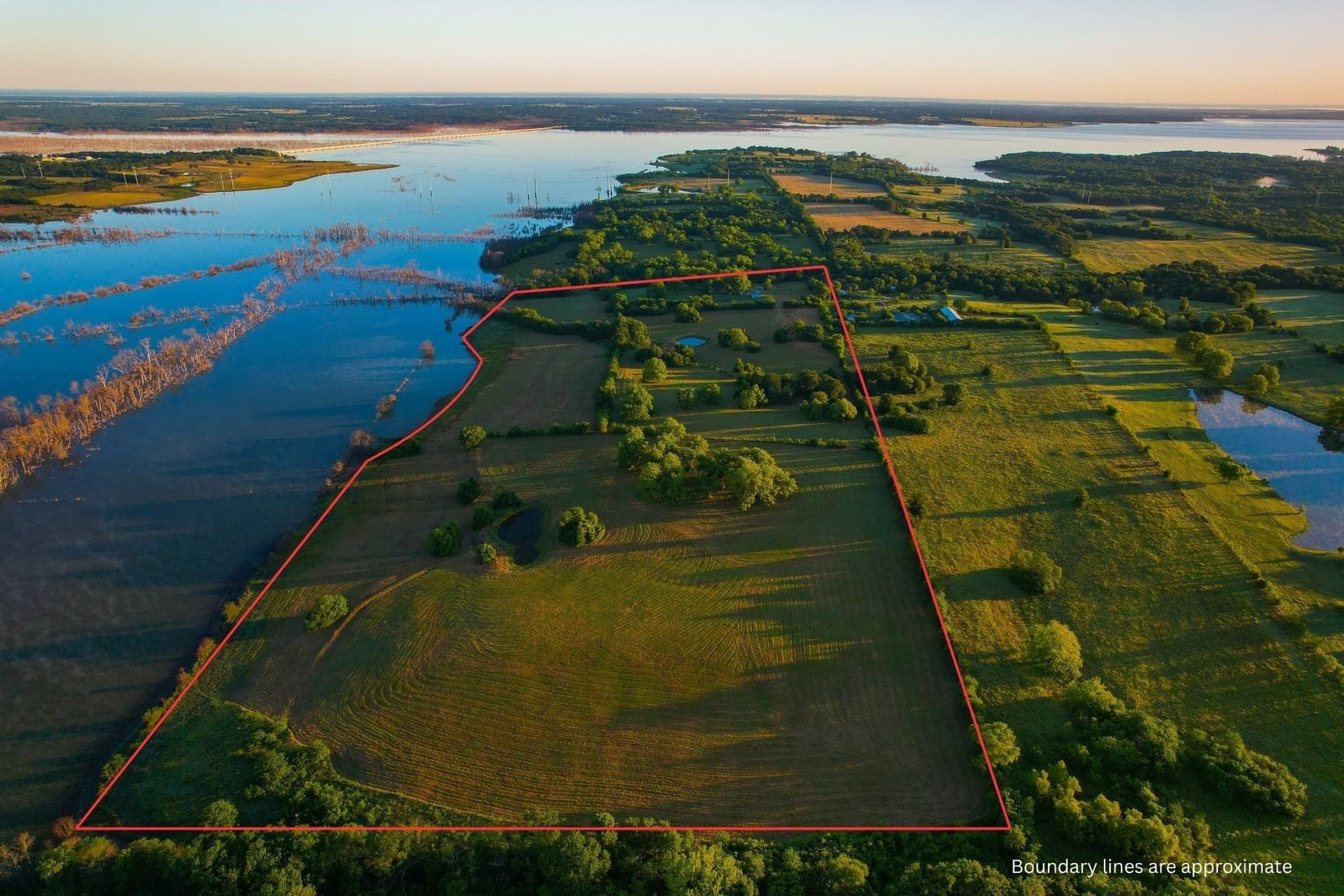 45.99 acres in Fannin County gallery image 2